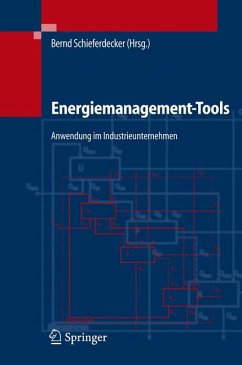 Energiemanagement-Tools (eBook, PDF) - Schieferdecker, Bernd; Fünfgeld, Christian; Bonneschky, Alexis