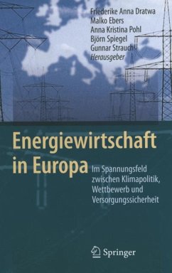 Energiewirtschaft in Europa (eBook, PDF)