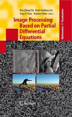 Image Processing Based on Partial Differential Equations (eBook, PDF)