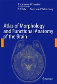 Atlas of Morphology and Functional Anatomy of the Brain (eBook, PDF)