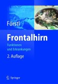 Frontalhirn (eBook, PDF)