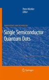 Single Semiconductor Quantum Dots (eBook, PDF)