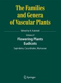 Flowering Plants. Eudicots (eBook, PDF)