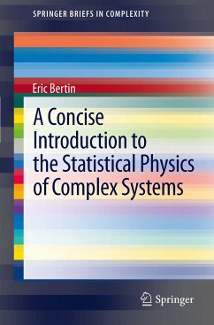 A Concise Introduction to the Statistical Physics of Complex Systems (eBook, PDF) - Bertin, Eric