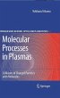 Molecular Processes in Plasmas (eBook,... - Bild 1