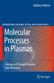 Molecular Processes in Plasmas (eBook, PDF)