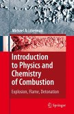 Introduction to Physics and Chemistry of Combustion (eBook, PDF)