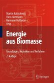 Energie aus Biomasse (eBook, PDF)