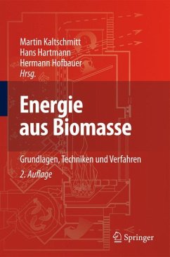 Energie aus Biomasse (eBook, PDF)