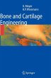 Bone and Cartilage Engineering (eBook,... - Bild 1