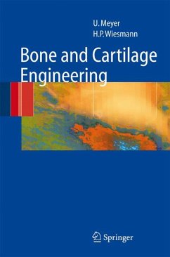 Bone and Cartilage Engineering (eBook, PDF) - Meyer, Ulrich; Wiesmann, Hans Peter