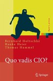 Quo vadis CIO? (eBook, PDF)