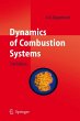 Dynamics of Combustion Systems (eBook,... - Bild 1