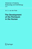 The Development of the Perineum in the Human (eBook, PDF)