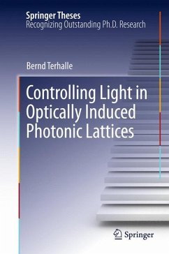 Controlling Light in Optically Induced Photonic Lattices (eBook, PDF) - Terhalle, Bernd
