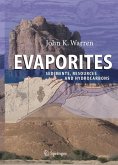 Evaporites:Sediments, Resources and Hydrocarbons (eBook, PDF)