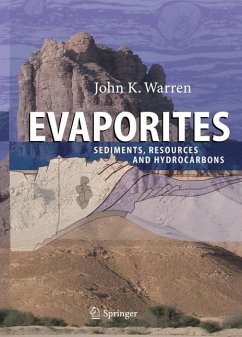 Evaporites:Sediments, Resources and Hydrocarbons (eBook, PDF) - Warren, John K.