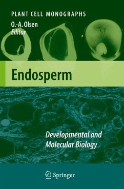 Endosperm (eBook, PDF)