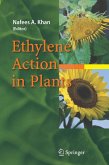 Ethylene Action in Plants (eBook, PDF)