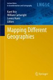 Mapping Different Geographies (eBook, PDF)