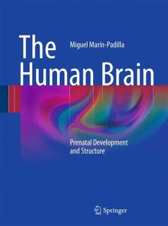 The Human Brain (eBook, PDF) - Marín-Padilla, Miguel