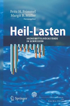 Heil-Lasten (eBook, PDF)