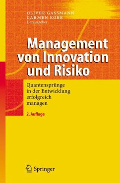 Management von Innovation und Risiko (eBook, PDF)