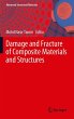 Damage and Fracture of Composite... - Bild 1