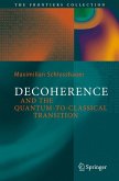 Decoherence (eBook, PDF)