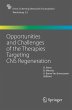 Opportunities and Challenges of the... - Bild 1
