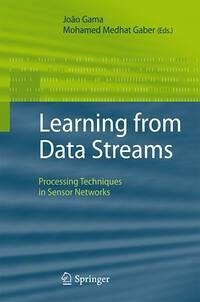 Learning from Data Streams (eBook, PDF)