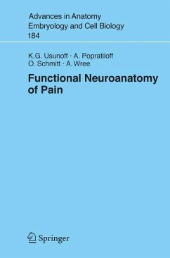 Functional Neuroanatomy of Pain (eBook, PDF) - Usunoff, K.G.; Popratiloff, A.; Schmitt, Oliver; Wree, Andreas