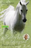 Wiedersehen mit Tam / Reiterhof Erlengrund Bd.2 (eBook, ePUB)