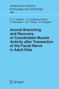 Axonal Branching and Recovery of Coordinated Muscle Activity after Transsection of the Facial Nerve in Adult Rats (eBook, PDF) - Angelov, Doychin N.; Guntinas-Lichius, Orlando; Wewetzer, Konstantin; Neiss, Wolfram; Streppel, Michael