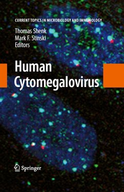 Human Cytomegalovirus (eBook, PDF)