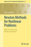 Newton Methods for Nonlinear Problems (eBook, PDF)
