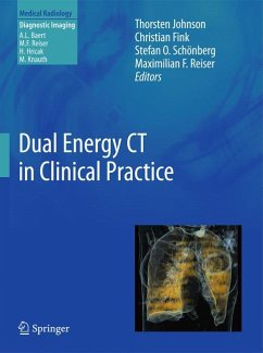 Dual Energy CT in Clinical Practice (eBook, PDF)