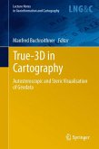True-3D in Cartography (eBook, PDF)