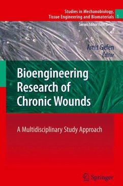 Bioengineering Research of Chronic Wounds (eBook, PDF)
