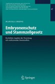 Embryonenschutz und Stammzellgesetz (eBook, PDF)