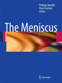 The Meniscus (eBook, PDF)