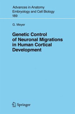 Genetic Control of Neuronal Migrations in Human Cortical Development (eBook, PDF) - Meyer, Gundela
