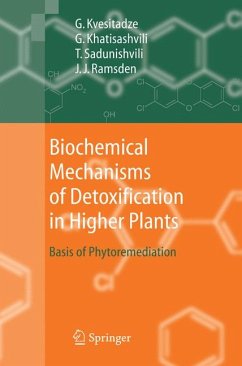 Biochemical Mechanisms of Detoxification in Higher Plants (eBook, PDF) - Kvesitadze, George; Khatisashvili, Gia; Sadunishvili, Tinatin; Ramsden, Jeremy J.