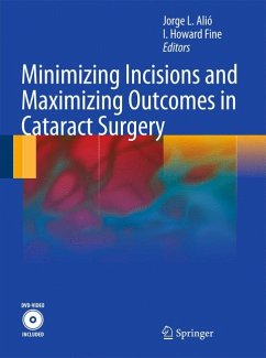 Minimizing Incisions and Maximizing Outcomes in Cataract Surgery (eBook, PDF)