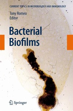 Bacterial Biofilms (eBook, PDF)