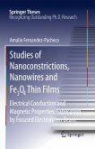 Studies of Nanoconstrictions, Nanowires and Fe3O4 Thin Films (eBook, PDF)