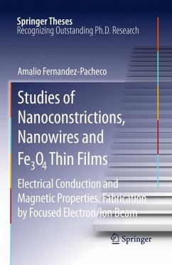 Studies of Nanoconstrictions, Nanowires and Fe3O4 Thin Films (eBook, PDF) - Fernandez-Pacheco, Amalio