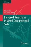Bio-Geo Interactions in Metal-Contaminated Soils (eBook, PDF)