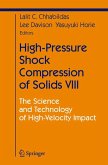 High-Pressure Shock Compression of Solids VIII (eBook, PDF)