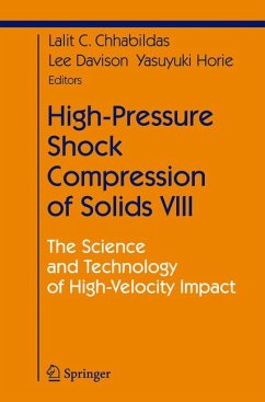 High-Pressure Shock Compression of Solids VIII (eBook, PDF)